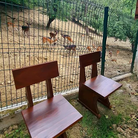 Domacija Bubec Vakantieboerderij Ilirska Bistrica