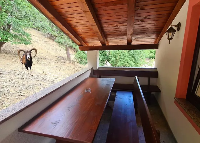 Domacija Bubec Smještaj na farmi Ilirska Bistrica