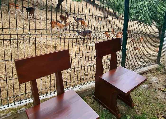 Domacija Bubec Smještaj na farmi Ilirska Bistrica