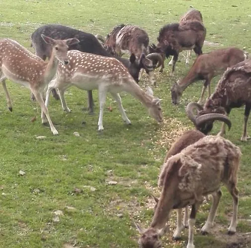 Domacija Bubec Alloggio per agriturismo *
