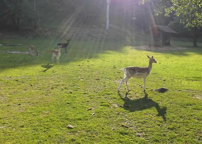 Smještaj na farmi Domacija Bubec Ilirska Bistrica
