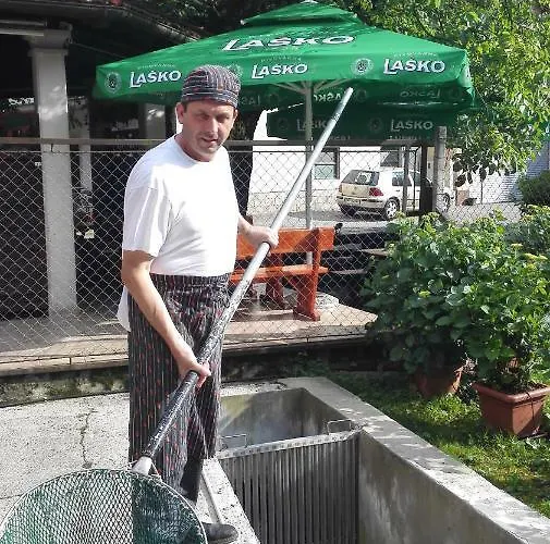 Domacija Bubec Ilirska Bistrica