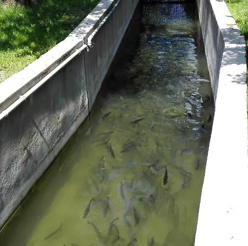 Smještaj na farmi Domacija Bubec *